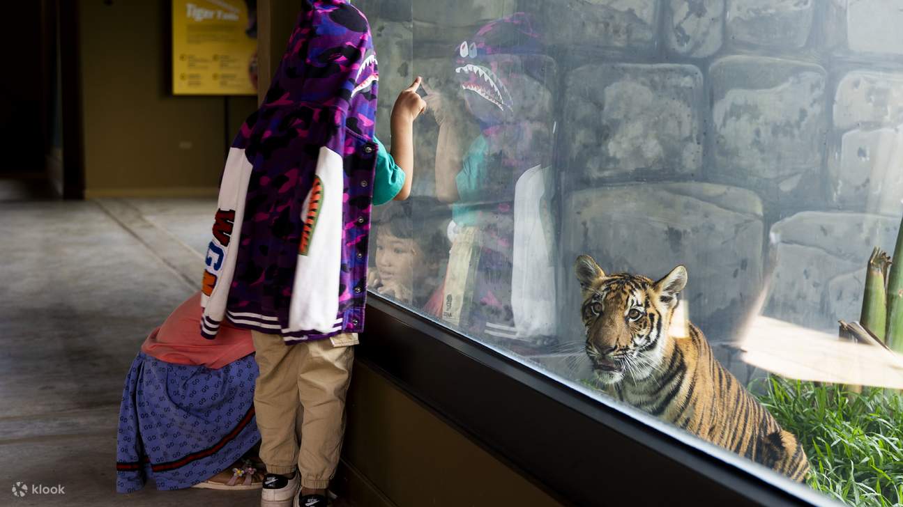 Vé Vào Cửa Cả Ngày | Angkor Wildlife & Aquarium